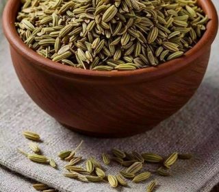 Anise (fennel)